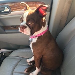 Meet your Posher, April